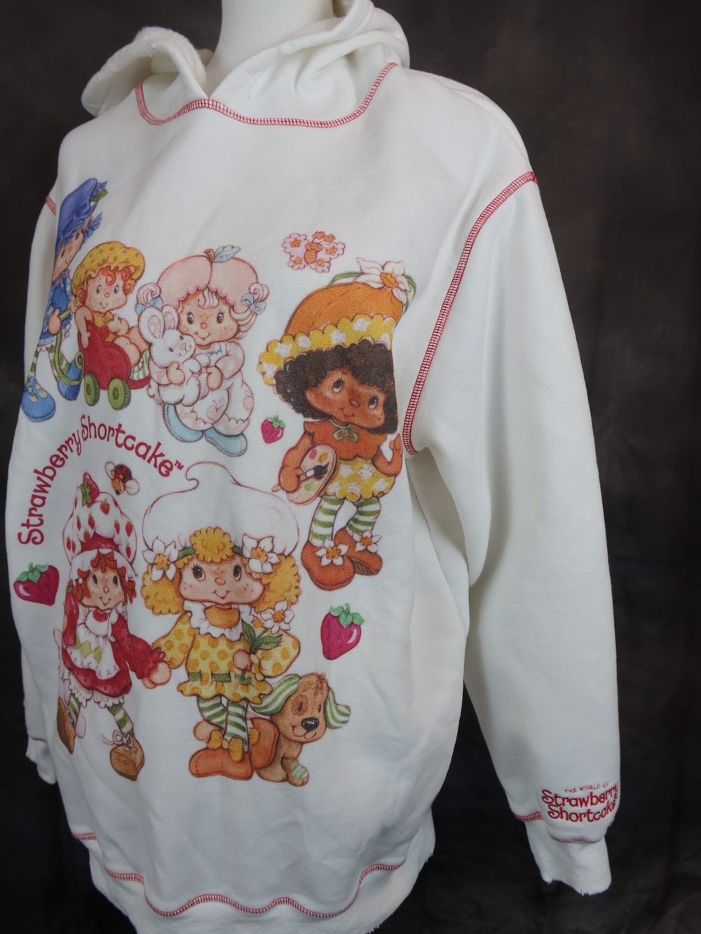 Dolls Kill Strawberry Shortcake Oversized White Hoodie.  Sweetest Friends. S